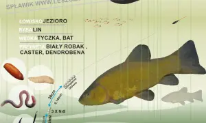 Jaki spławik na lina? Na jezioro, tyczką, z białym robakiem, casterem lub dendrobeną. Zestaw z haczykiem i obciążeniem.
