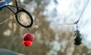 Czerwona kulka proteinowa i ołowiany ciężarek na sztywnym rig'u, gotowe do połowu.