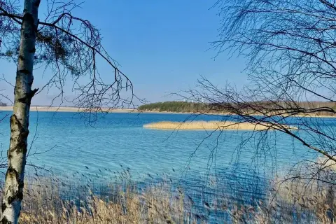 Szmaragdowe jezioro w Koninie, otoczone trzcinami i nagimi gałęziami drzew, lśni w słońcu pod błękitnym niebem.