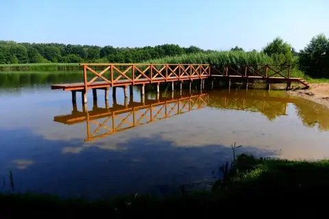 Drewniane molo odbija się w spokojnej tafli jeziora wojnowskiego. W tle zieleń drzew i trzcin.