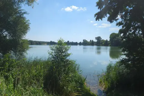 Spokojne żnin jezioro otoczone zielenią drzew i trzcin, z błękitnym niebem i białymi chmurami odbijającymi się w wodzie.