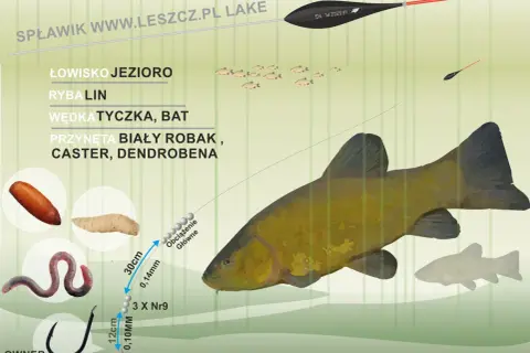 Jaki spławik na lina? Na jezioro, tyczką, z białym robakiem, casterem lub dendrobeną. Zestaw z haczykiem i obciążeniem.