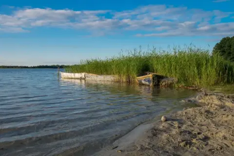 Dwa stare łodzie przy brzegu dużego jeziora, otoczone wysoką trzciną. Niebo błękitne z białymi chmurami.