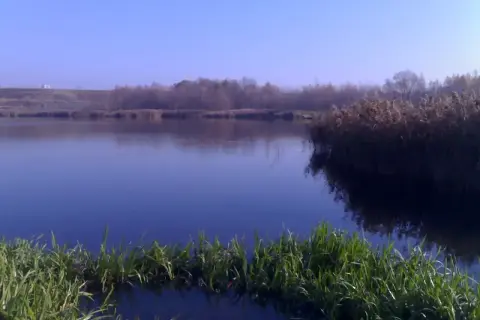 Spokojne jezioro Farskie o tej porze roku, z trzcinami i trawami przy brzegu, odbija błękitne niebo.