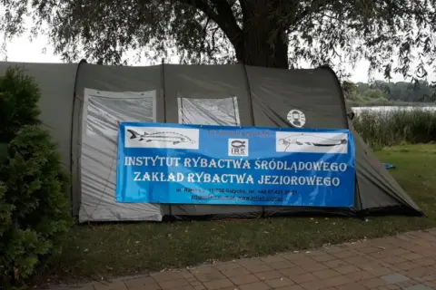 Namiot Instytutu Rybactwa Śródlądowego nad jeziorem sztumskim. Badania prowadzone są przez IRS.