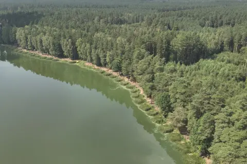 Zielone, spokojne mogilno jezioro otoczone gęstym lasem sosnowym. Na brzegu widać niewielkie skupiska ludzi i roślinność.