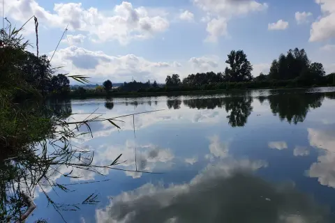 Spokojne łowisko Zawodzie. Lasy odbijają się w tafli wody, a chmury wiszą na błękitnym niebie.