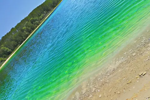 Turkusowe, falujące jezioro z zielonymi refleksami przy piaszczystym brzegu, w tle las.