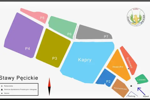 Mapa Stawy Pęcickie z podziałem na łowiska: Kapry, P2, P3, P4, P5, P6, P7, Akapulko, Sumowo, Linowo, Szczupakowo. Wjazd i parking.