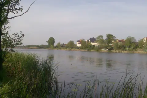 Spokojne jezioro wilanowskie z domami na brzegu i zielenią.