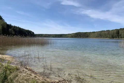 Spokojne cekcyn jezioro otoczone lasem, z widoczną piaszczystą plażą i trzcinami.