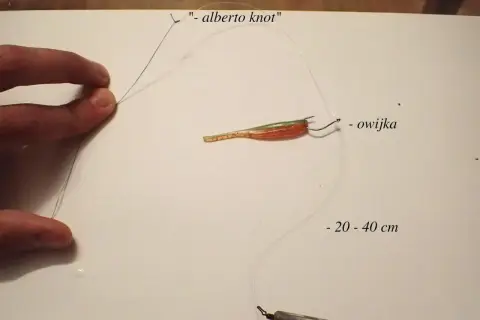 Jak zrobić zestaw drop shot: przypon z przynętą i ołowiem, połączone węzłem Alberto. Długość przyponu 20-40 cm.