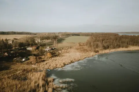 Zimowy krajobraz nad jeziorem Pniewy. Lód pokrywa część wody, a trzciny szumią na brzegu. W oddali widać las i pola.