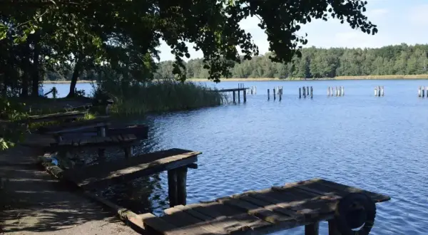 Drewniane pomosty nad spokojnym, błękitnym jeziorem Chrzypsko Wielkie. W oddali widoczne paliki i zalesiony brzeg.