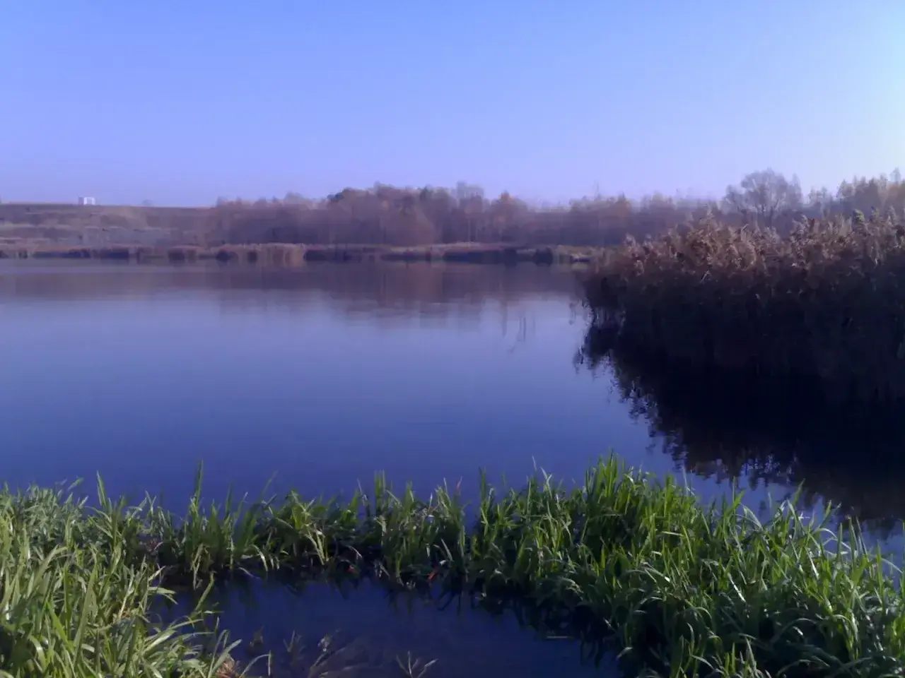 Spokojne jezioro Farskie o tej porze roku, z trzcinami i trawami przy brzegu, odbija błękitne niebo.