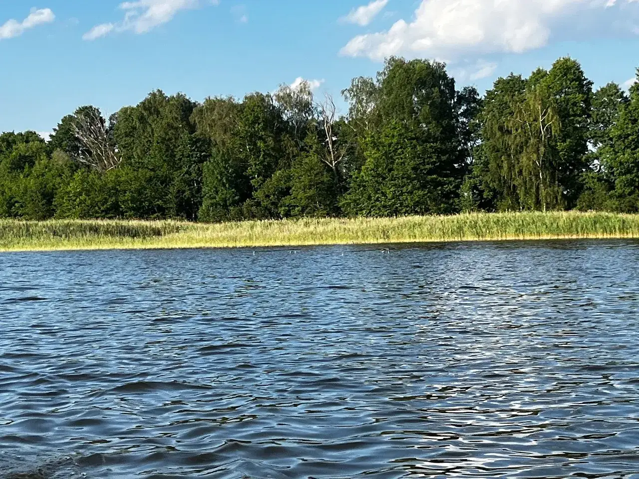 Spokojne jezioro Wielin w letni dzień. Falująca woda odbija błękitne niebo z chmurami. Na brzegu bujna zieleń drzew i wysoka trawa.