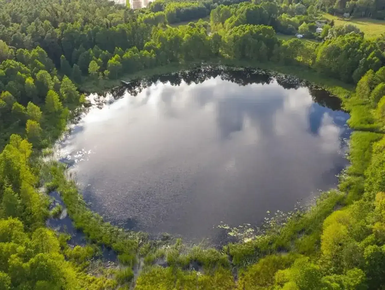 Malownicze jezioro Wójtowskie otoczone bujną zielenią lasów i trzcin. Woda odbija chmury, tworząc lustrzaną taflę.